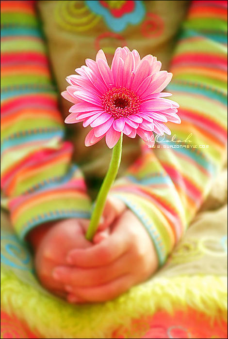 Пусть каждый ваш день будет наполнен радостью. Позитивные открытки. Позитивные картинки. Цветок радости и счастья. Открытка яркой жизни.
