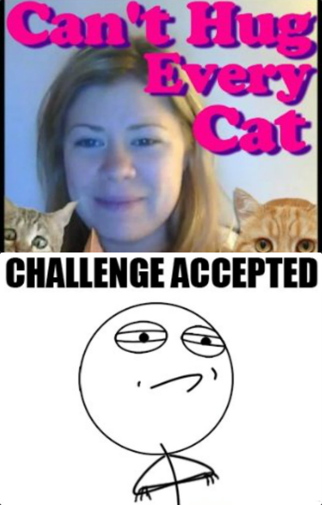 Challenge Accepted