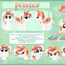 Pebbles Reference Sheet