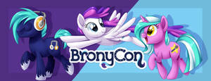 BronyCon 2014 - Banner
