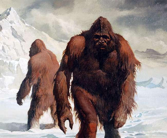 yeti concept by giantmonster77 on DeviantArt