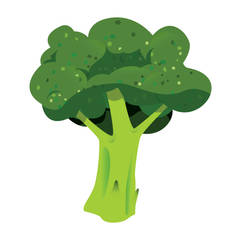 Broccoli