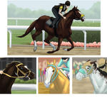 Wide Open Field | Breeders Cup | Extra 2 by TheEndlessHourglass