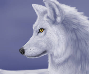 White Wolf