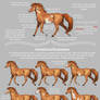 Overo Paint Guide | CV