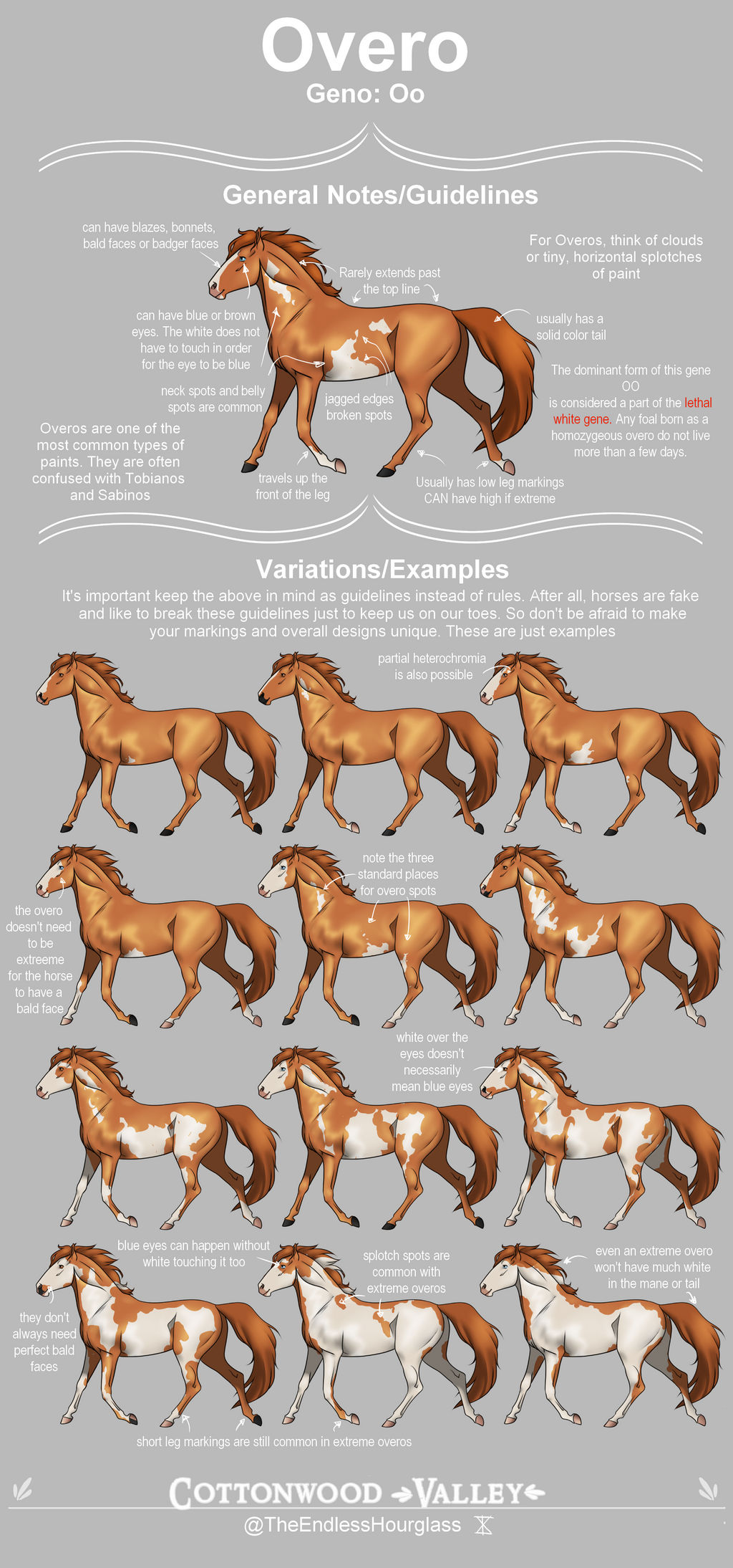 Overo Paint Guide | CV by TheEndlessHourglass on DeviantArt