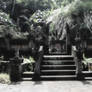 Holy Fish Temple Bali