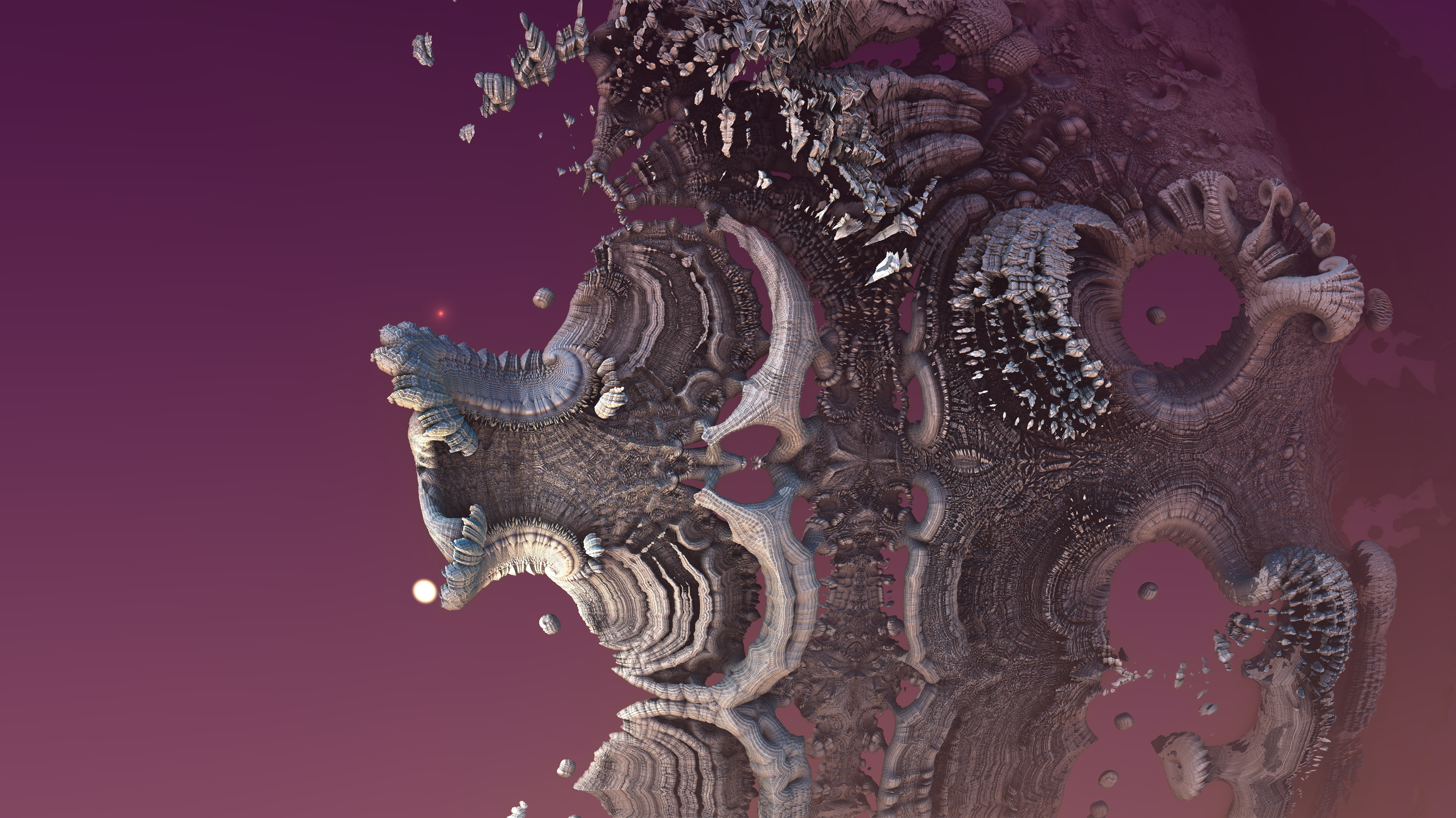 beauty in chaos