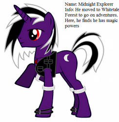 MLP: Midnight Explorer