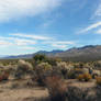 Mojave