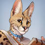 Serval Profile Pic 2020