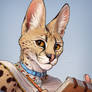 Serval Profile Pic 2020