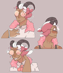 Goat Expressions