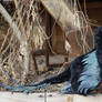 Microraptor full poseable toy