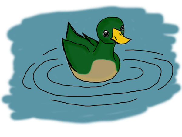 A swimming duck by sunbeamattack on DeviantArt