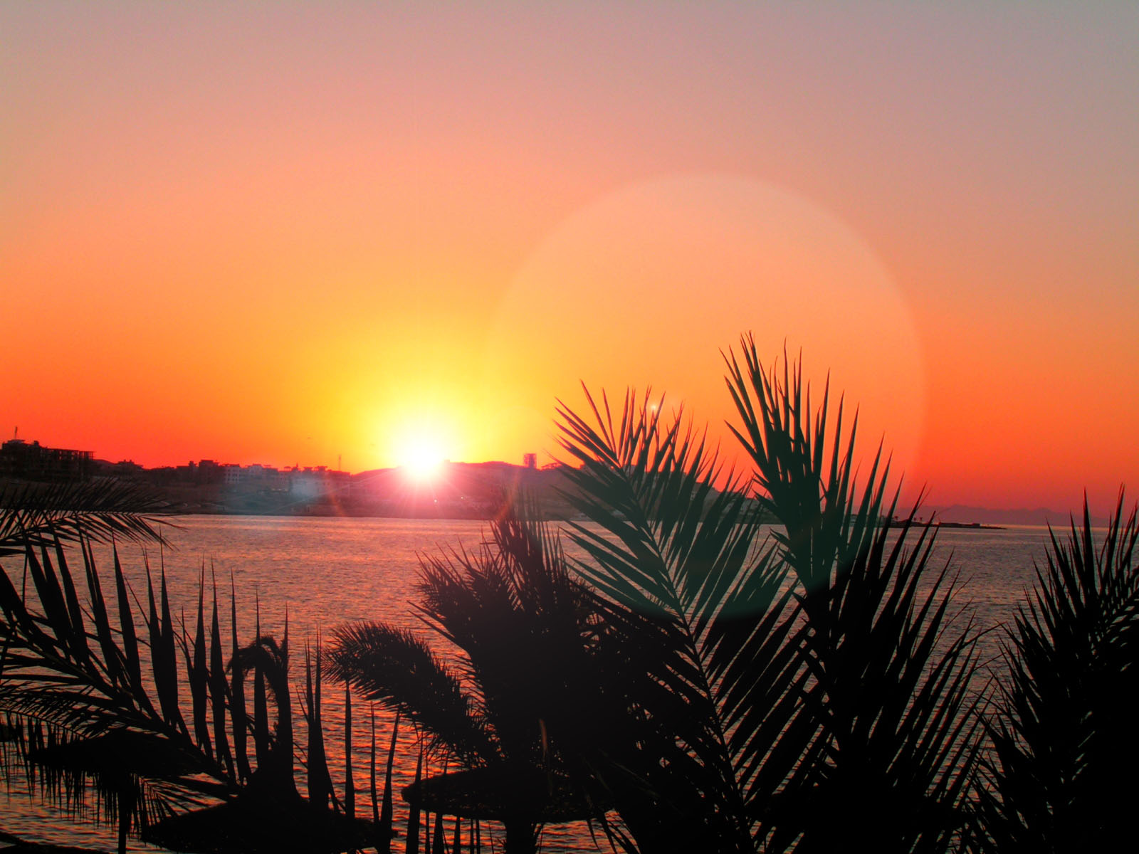 Gold sunset. Закат в Египте. Райский Египет. Закат Египет Инстаграм. Египет рай.