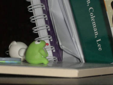 Frog despises studying