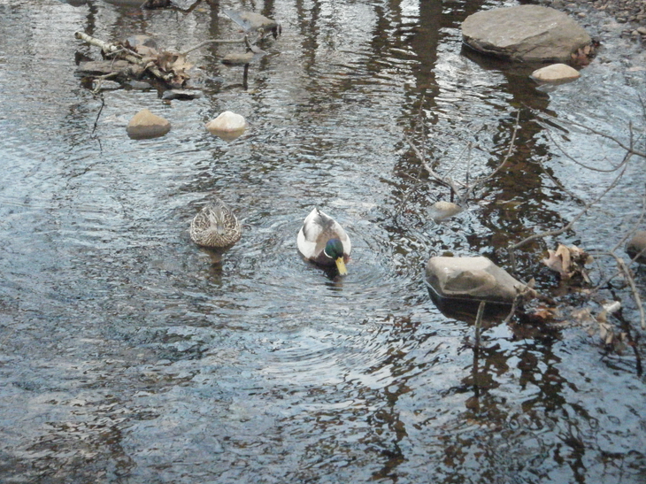 Floating on Water