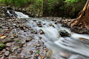 Mountain Stream