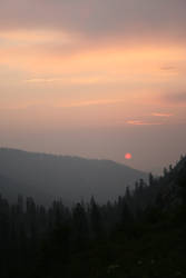 sequoia sunset