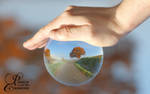 Take a look into the crystal ball by PassionAndTheCamera