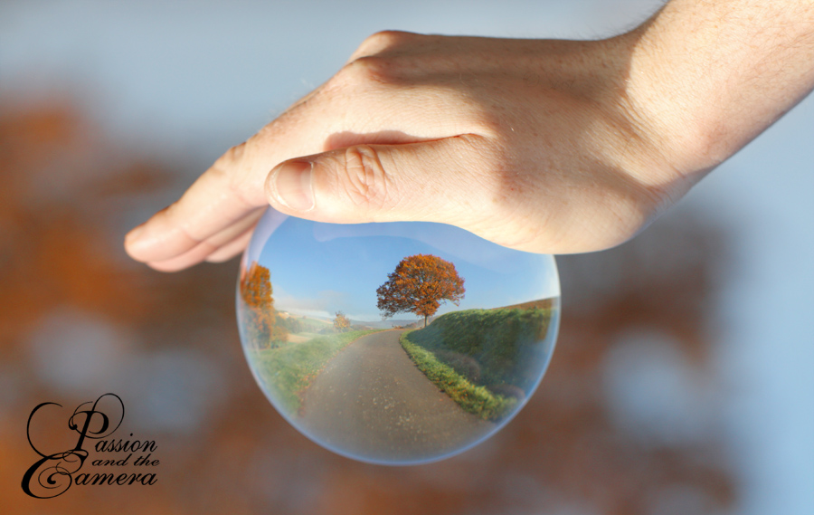 Take a look into the crystal ball by PassionAndTheCamera Take a look into the crystal ball by PassionAndTheCamera