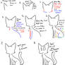 Tutorial for A Cat