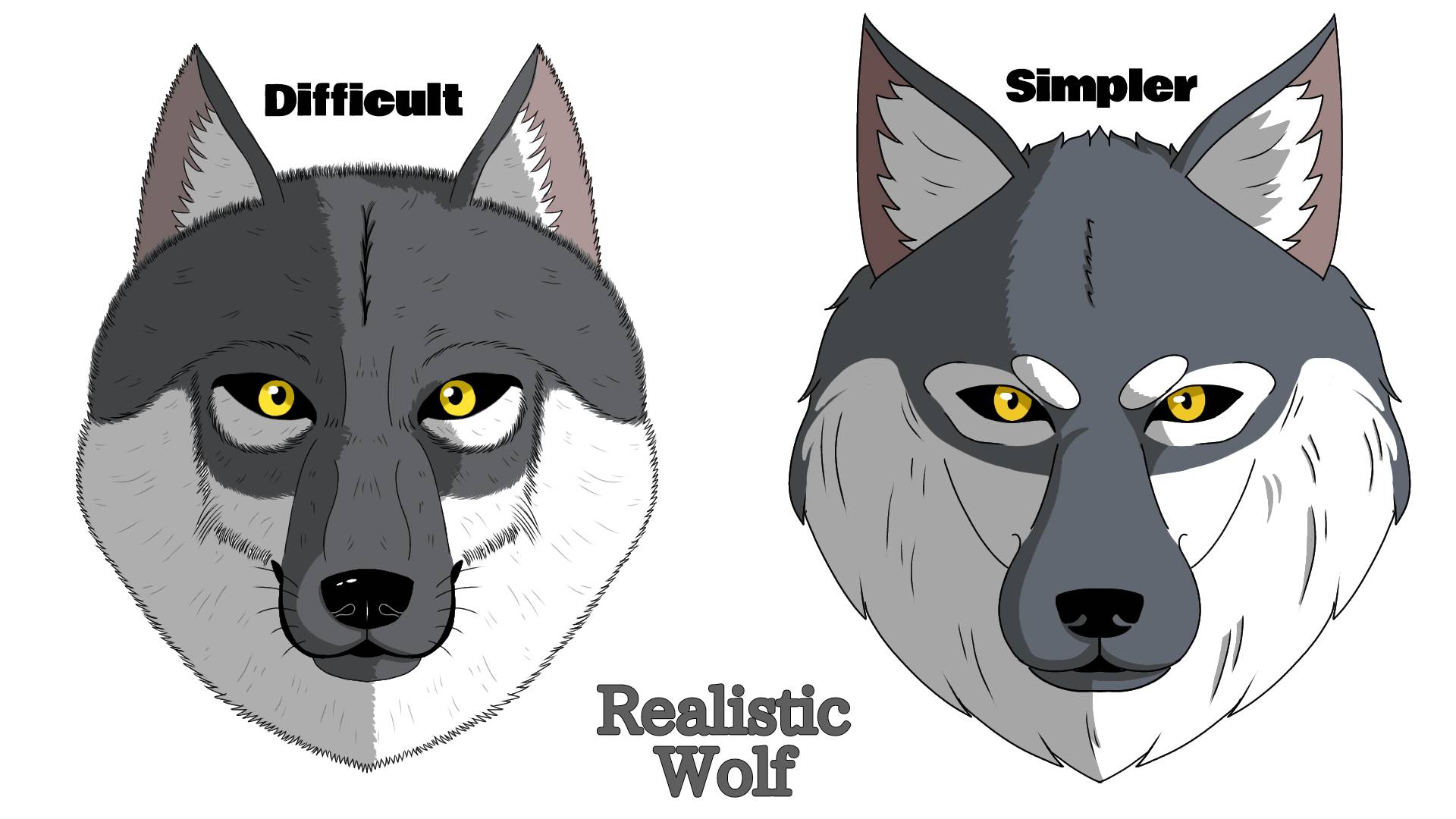 How To Draw A Realistic Wolf Face how-to-draw-a-realistic-wolf-face