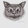 'Cheshire Cat Commission'