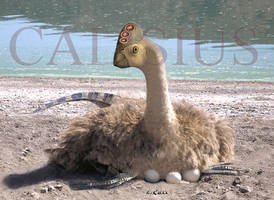 nesting oviraptor