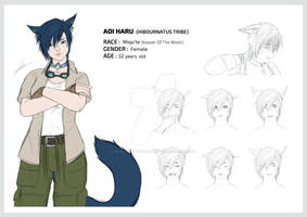 Character Sheet - Aoi Haru