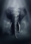 Elephant by Delun