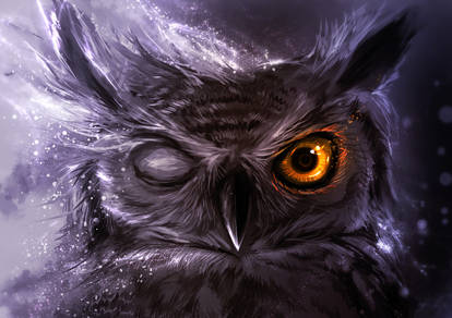 Night Owl