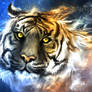 Panthera Tigris Nebula