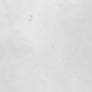Black+White Texture 01