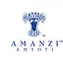 Amanzi Amtoti product logo