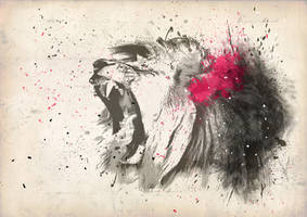 Lion 1