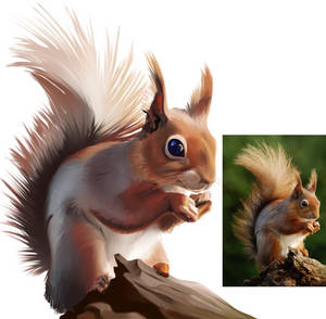 Squirrel Deviantart Explore the Best Squirrel Art | DeviantArt