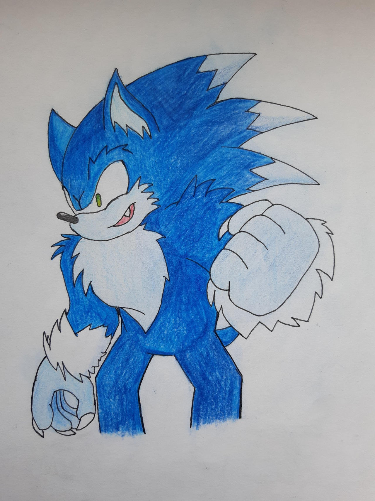 Holoska Werehog by MrMimicArt on DeviantArt
