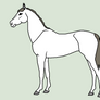 Equine Line Art