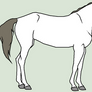 Equine Line Art