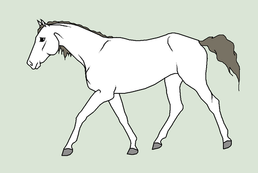 Equine Line Art