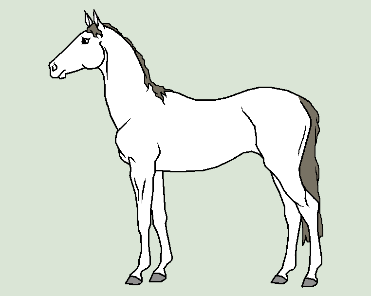 Equine Line Art