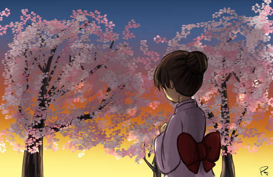 Cherry Blossom Sunset