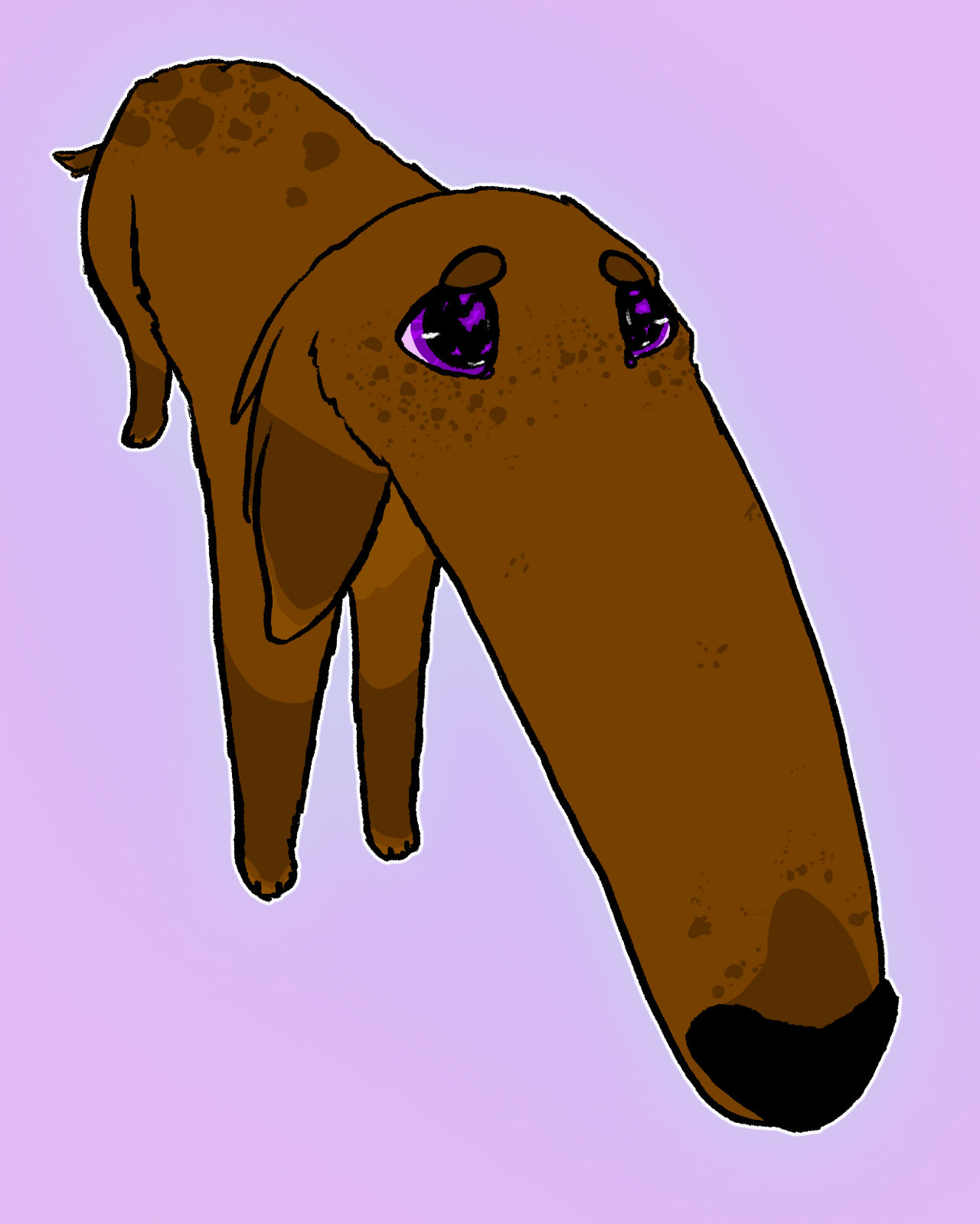 Why The Long Face By Chocolatewolfii On DeviantArt
