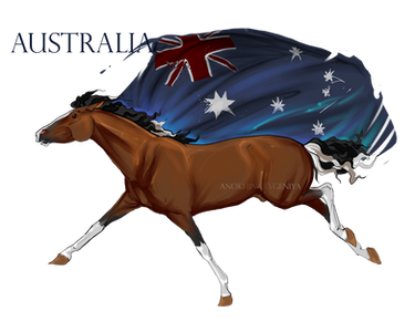 Horse Hetalia:  Australia