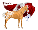Horse Hetalia: Canada by MUSONART