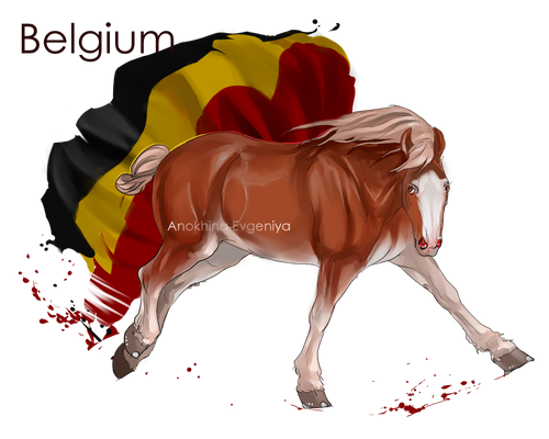 Horse Hetalia:  Belgium