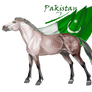 Horse Hetalia:  Pakistan