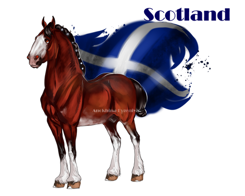 Horse Hetalia:  Scotland